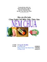 Công nghệ chế biến thịt, thủy sản : NEM CHUA