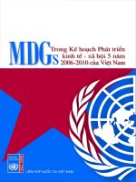 MDGs trong kế hoạch phát triển kinh tế - xã hội 5 năm 2006 - 2010 của Việt Nam