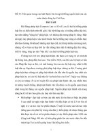 Tầm quan trọng của luật thành văn trong hệ thống nguồn luật của các nước thuộc dòng họ Civil law