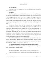 Hình thức tổ chức hoạt động nhóm để học sinh chủ động tích cực và hứng thú trong giờ học Tiếng Việt.