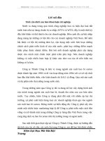 Hoàn thiện chiến lược marketing tại Công ty Trách nhiệm hữu hạn Thành Công