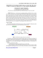 ảnh hưởng các giai đoạn chuyển hóa sau khi chết đến chất lượng và năng suất phi lê