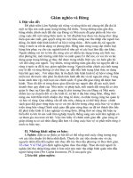 Giảm nghèo và Rừng