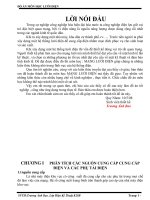 Xây dựng một hệ thống lưới điện