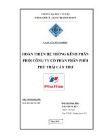 Hoàn thiện hệ thống kênh phân phối công ty cổ phần phân phối Phú Thái Cần Thơ