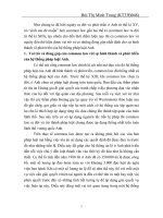 sự hình thành và phát triển của hệ thống pháp luật Anh