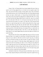 Giải pháp hoàn thiện về tổ chức và lực lượng bán hàng  nhằm nâng cao khả năng cạnh tranh và mở rộng thị trương nội địa của công ty Giầy Thượng Đình