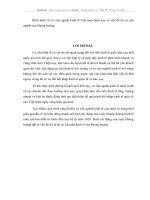 Bình luận về Cơ cấu ngành kinh tế Việt nam hiện nay và vấn đề tái cơ cấu ngành sau khủng hoảng.