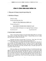 Tổng quan về công ty công trình giao thông 124