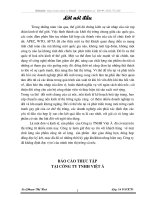 Thực trạng công tác kế toán tại vông ty TNHH Việt Á