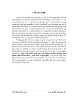 Phát triển ngành hàng snack tại công ty cổ phần chế biến thực phẩm Kinh Đô miền Bắc – Thực trạng và giải pháp