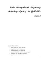 Phân tích sự thành công trong chiến lược định vị của Q-Mobile