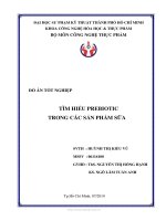 TÌM HIỂU PREBIOTIC TRONG CÁC SẢN PHẨM SỮA