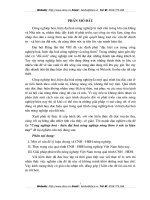 Công nghiệp hoá - hiện đại hoá nông nghiệp nông thôn ở nước ta hiện nay