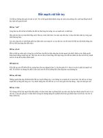 Bắt mạch cái bắt tay