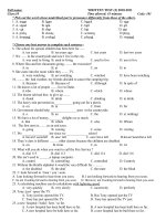 DE KIEM TRA 1TIET SO 2 LOP 10 HKI