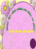 Tiết 29. Ôn tập chương 2