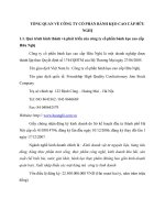 TỔNG QUAN VỀ CÔNG TY CỔ PHẦN BÁNH KẸO CAO CẤP HỮU NGHỊ