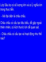 Sinh7 - Bai 26 chuan