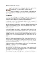 Đối xử với người định 