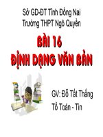 Hoi giang- Bai 16 Dinhdang van ban (HOT)