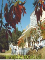 Hướng dẫn sử dung PP.1