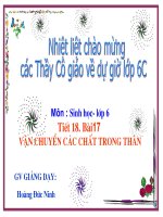 Tiết 18- Sinh6 - Vận chuyển các chất trong thân