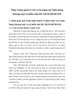 Thực trạng quản lý rủi ro tín dụng tại Ngân hàng thương mại cổ phần nhà Hà Nội HABUBANK