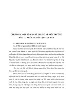 CHƯƠNG 1 MỘT SỐ VẤN ĐỀ CHUNG VỀ MÔI TRƯỜNG ĐẦU TƯ NƯỚC NGOÀI TẠI VIỆT NAM