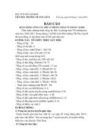 báo cáo tháng 11 TH  Tân Lập B