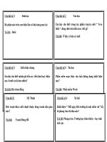 cay hoi rung chuong vang THCS nam 2011