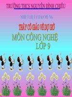 công nghệ 9 bài 5