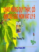 VL9 - Ôn tập chương I Điện học