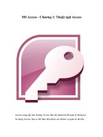 MS Access - Chương 1: Thuật ngữ Access Access