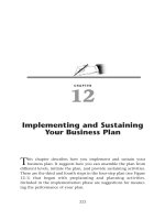 Implementing and Sustaining Your Business Plan