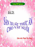 Bài 29: Sản xuất thức ăn cho vật nuôi