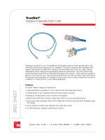 Category 6 Specialty Patch Cords