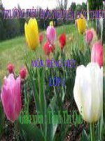 TIENG VIET 1-TUAN 12