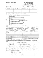 Đề kiểm tra HK I E 6 (2)