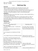 giáo an sinh hoạt