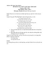 Đề HSG Tiếng VIệt 3