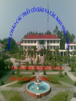 Văn bản nghị luận- Mạc Thị Nga