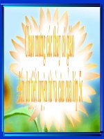 Môn Luyện từ và câu lớp 5