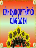 Tiết 24 đa dạng và vai trò của giáp xác