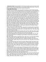 TINH HINH XA HOI VIET NAM