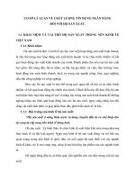 CƠ SỞ LÝ LUẬN VỀ CHẤT LƯỢNG TÍN DỤNG NGÂN HÀNG