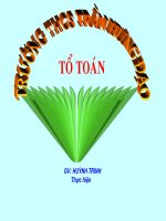 HAI TAM GIÁC BẰNG NHAU ( C.G.C.)