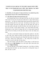 CƠ SỞ LÍ LUẬN CHUNG VỀ TỔ CHỨC HẠCH TOÁN TIÊU THỤ VÀ XÁC ĐỊNH KẾT QUẢ TIÊU THỤ TRONG CÁC ĐƠN VỊ KINH DOANH THƯƠNG MẠI