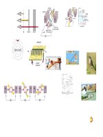 Thu vien hinh anh Vat ly