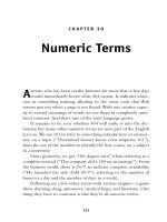 Numeric Terms